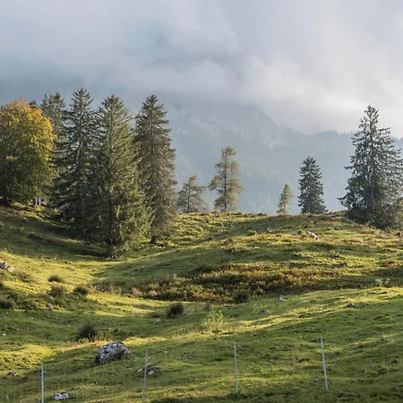 Wein Holzheim am Forst